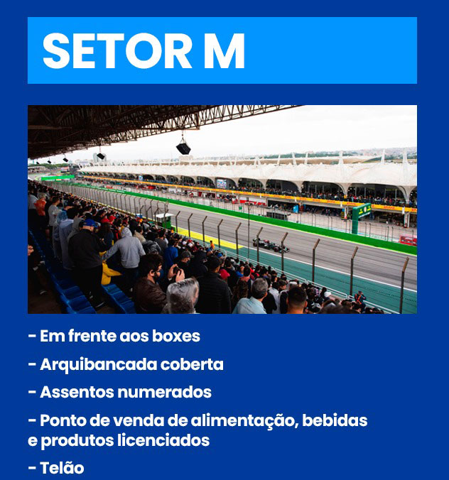 gp-formula1-sp-2024-detalhes-setor-m